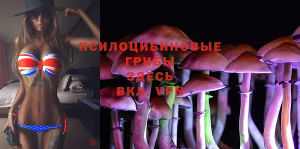 каннабис Алексин
