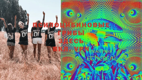 скорость Алзамай