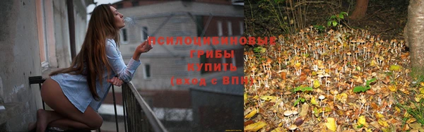 скорость Алзамай